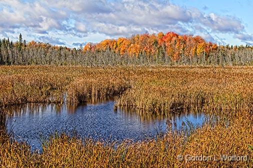 Autumn Marsh_29397.jpg - Photographed near Maberly, Ontario, Canada.